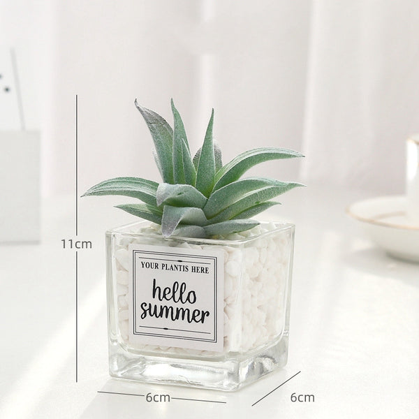 Creative decoration office potted plants