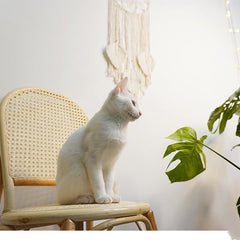 Tapestry Cotton Thread Hand-Woven Hanging Decoration Wall Hanging Decoration