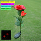 Outdoor Garden Decoration LED Simulation